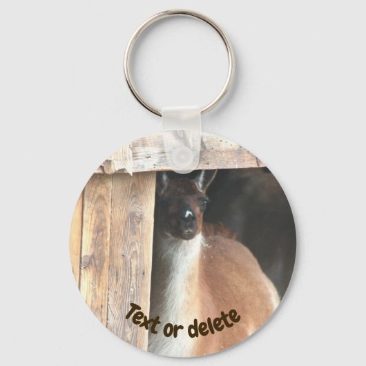 Pretty Llama Farm Animal Personalized キーホルダー (正面)