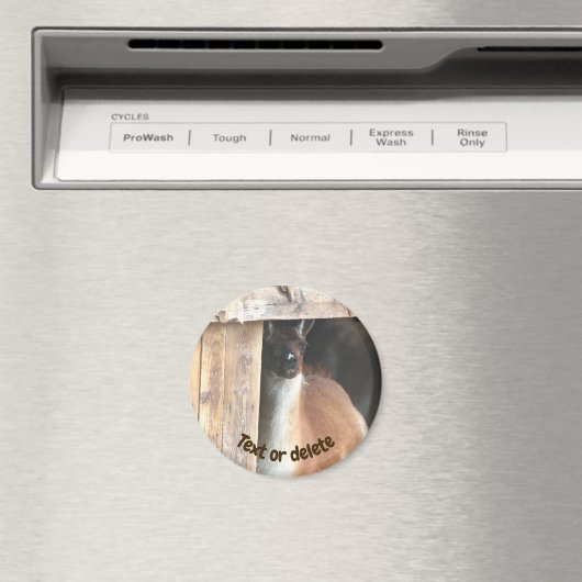 Pretty Llama Farm Animal Personalized マグネット (インサイチュ (食洗機))