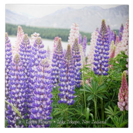 Pretty Lupins @ Lake Tekapo New Zealand タイル