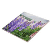 Pretty Lupins @ Lake Tekapo New Zealand タイル (側面)