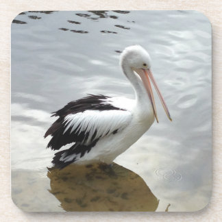 Pretty Pelican Coaster Set コースター
