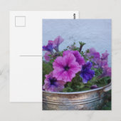 Pretty Petunias ポストカード (正面/裏面)