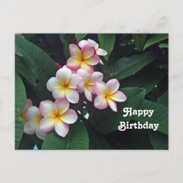 Pretty Pink and Yellow Plumeria Floral Birthday ポストカード