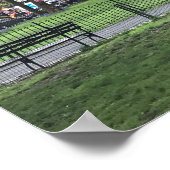 Pretty Pink Cherry Blossom Tree NYC New York City ポスター (角)