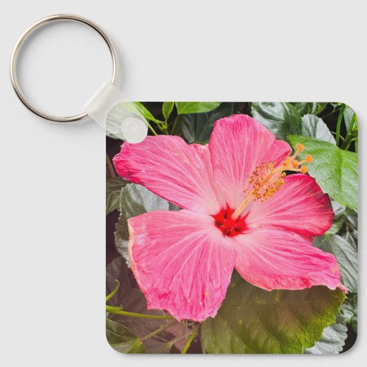 Pretty Pink Hibiscus キーホルダー (正面)