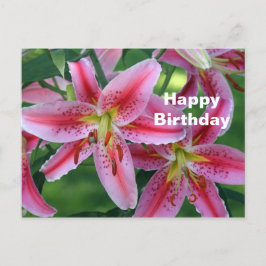 Pretty Pink Lily Floral Photo Birthday ポストカード