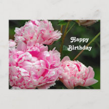 Pretty Pink Peonies Floral Photo Birthday