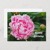  pretty pink peony 花の写真の誕生日 ポストカード (正面/裏面)