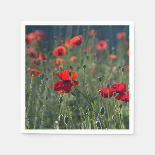 Pretty Poppies in Wild Meadow Photo スタンダードカクテルナプキン (正面)