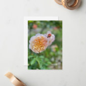 Pretty Pretty Rose ノートカード (正面/裏面インサイチュ)