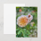 Pretty Pretty Rose ノートカード (正面/裏面)