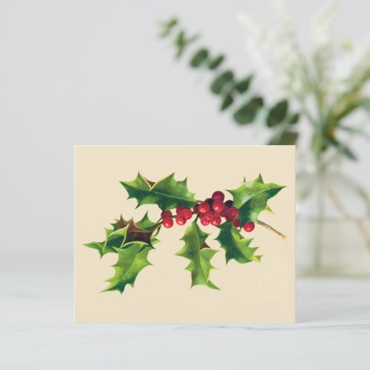 Pretty Vintage Holly branch (スタンド正面)