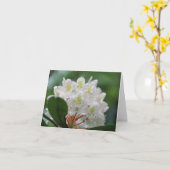 Pretty White Azalea Flower Photography Note カード (黄色い花)