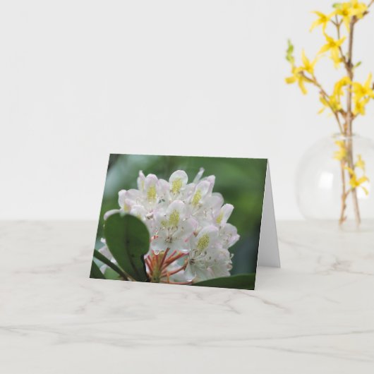 Pretty White Azalea Flower Photography Note カード (黄色い花)