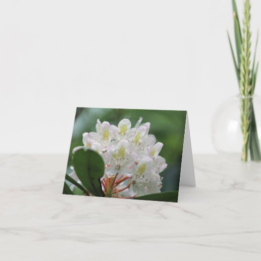 Pretty White Azalea Flower Photography Note カード (正面)