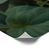 Pretty white orange cat in floral garden ポスター (角)