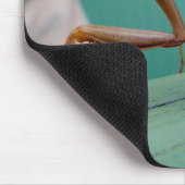 Preying Mantis & ant マウスパッド (コーナー)