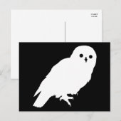 Price 最高の White Barn Owl Graphic ポストカード (正面/裏面)