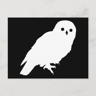 Price 最高の White Barn Owl Graphic ポストカード