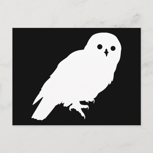 Price 最高の White Barn Owl Graphic ポストカード (正面)