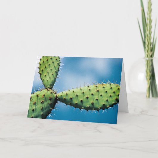 Prickleyのサボテン カード (正面)