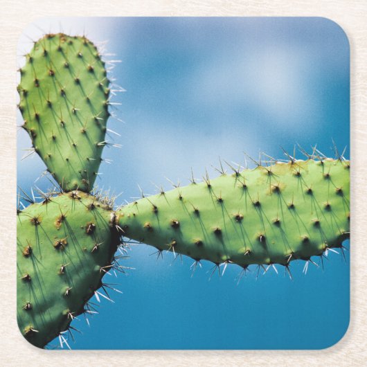 Prickleyのサボテン スクエアペーパーコースター (正面)