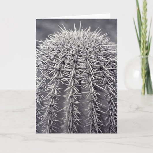 Prickly Cactus Sonoran砂漠の写真グリーティングカード カード (正面)