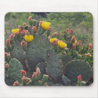 Prickly Pear Cactus マウスパッド