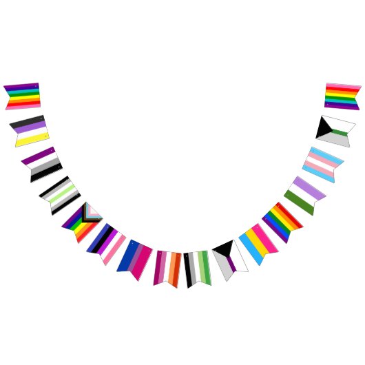 Pride Flag Assortment Garland バンティングフラッグ (全)