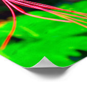 Pride of Barbados Stretched Canvas Print ポスター (角)