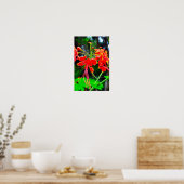 Pride of Barbados Stretched Canvas Print ポスター (キッチン)