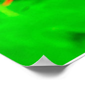 Pride of Barbados Stretched Canvas Print ポスター (角)