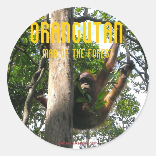 Primate - orangutanスタンプを覗く ラウンドシール (正面)