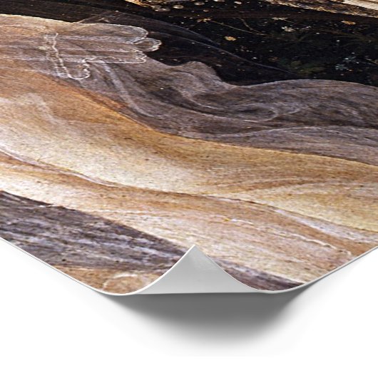 Primavera, Venusの詳細, by Sandro Botticelli ポスター (角)