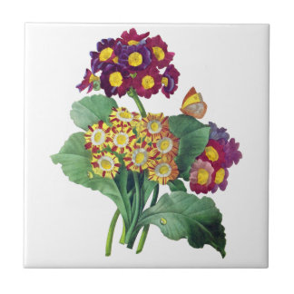 Primula Auricula - Cowslip – ピエール・ジョセフ・ルドゥート タイル