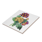 Primula Auricula - Cowslip – ピエール・ジョセフ・ルドゥート タイル (側面)