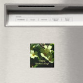 Primula vulgaris Primrose Mother's Dayマグネット マグネット (インサイチュ (食洗機))