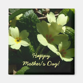 Primula vulgaris Primrose Mother's Dayマグネット マグネット (正面)