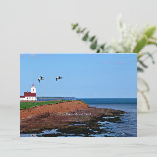 Prince Edward Island Lighthouse (スタンド正面)
