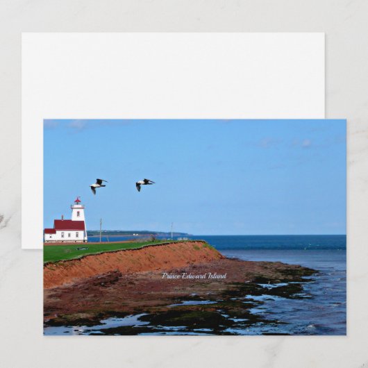 Prince Edward Island Lighthouse (正面/裏面)