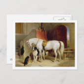 Prince George's Favorites (キャンバス上の油) ポストカード (正面/裏面)