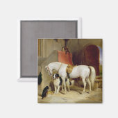 Prince George's Favorites (キャンバス上の油) マグネット (正面/裏面)