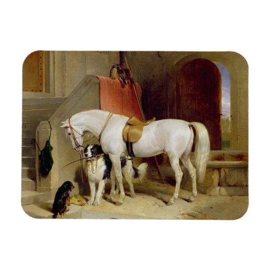 Prince George's Favorites (キャンバス上の油) マグネット (横)