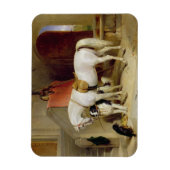 Prince George's Favorites (キャンバス上の油) マグネット (縦)