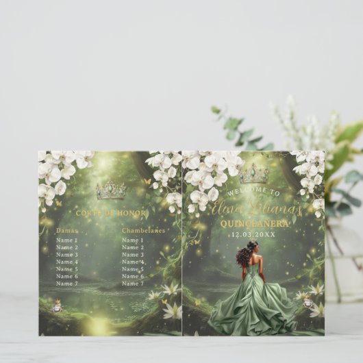 Princess and Frog Sage Green Quinceanera Program (スタンド正面)