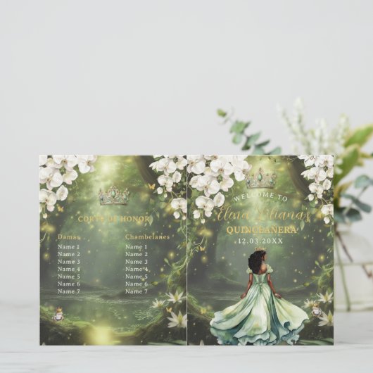 Princess and Frog Sage Green Quinceanera Program (スタンド正面)