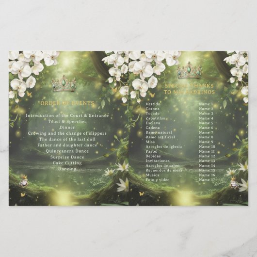 Princess and Frog Sage Green Quinceanera Program (裏面)