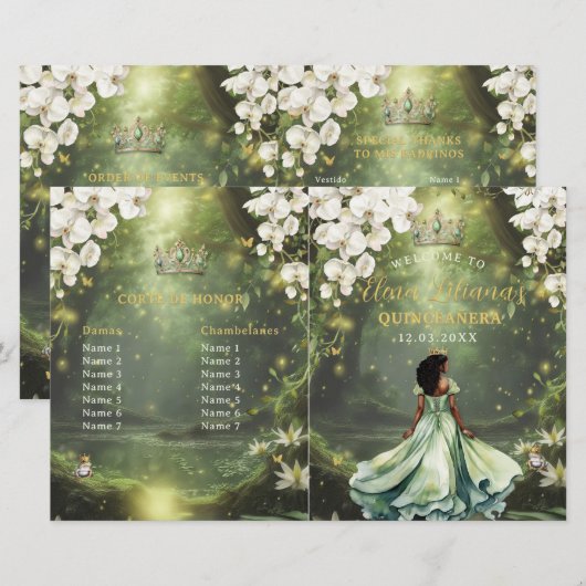Princess and Frog Sage Green Quinceanera Program (正面/裏面)