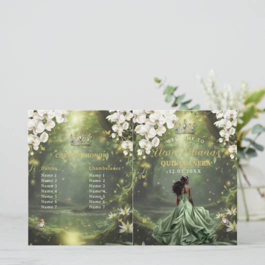 Princess and Frog Sage Green Quinceanera Program (スタンド正面)