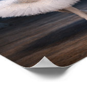 "Princess Odette & Prince Siegfried" (1) ポスター (角)